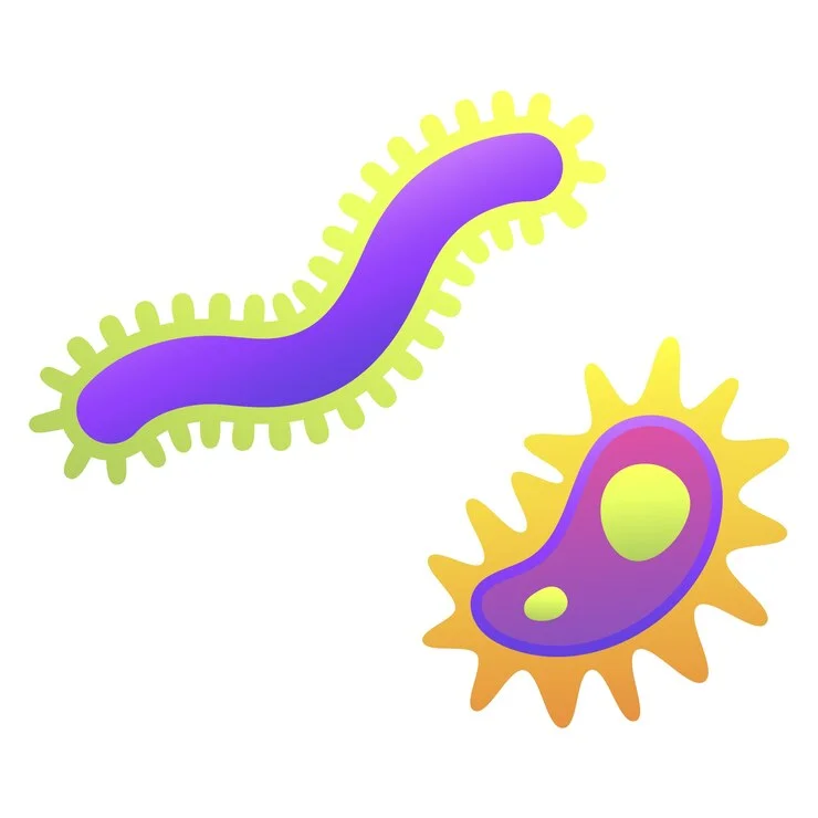 TOLC B